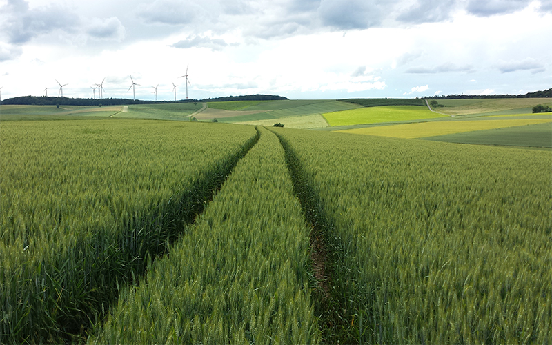 agroecology