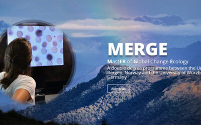 Exciting News: MERGE is now live on Bluesky and Instagram