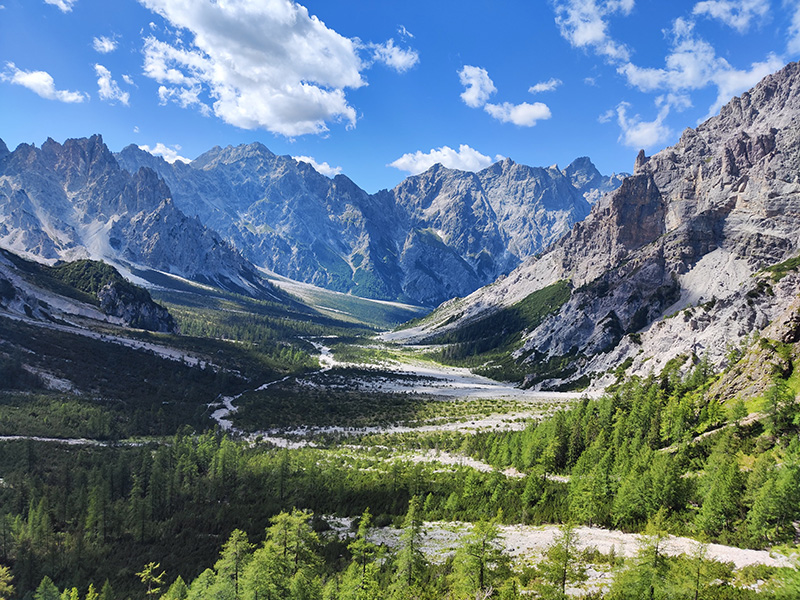 Alpine Ecology Alpine Ecology