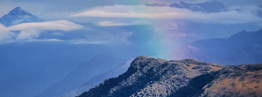 New Website Launch: Discover the Double Degree Master’s Program in Global Change Ecology