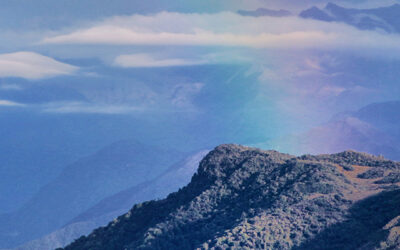 New Website Launch: Discover the Double Degree Master’s Program in Global Change Ecology