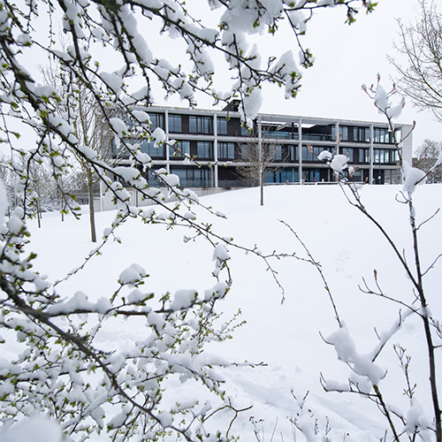 winter-semester-square Central lecture hall in snow