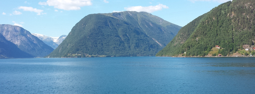 Press release from University of Würzburg about MERGE